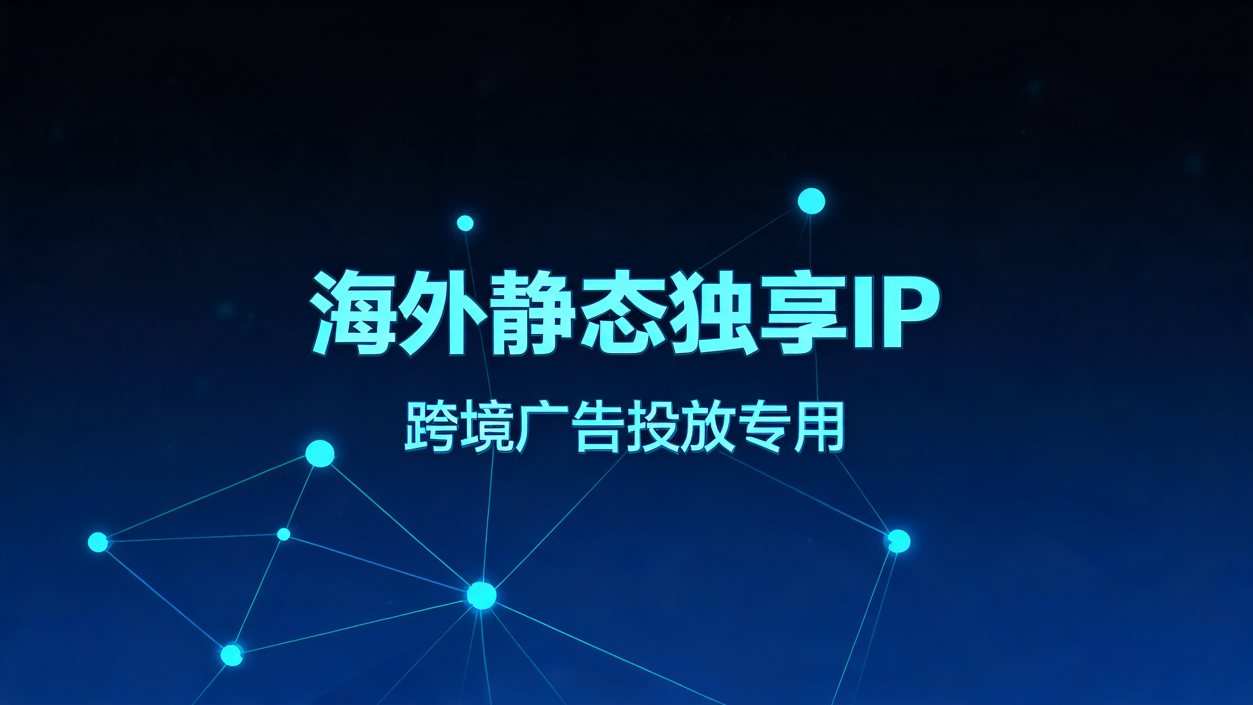 海外静态独享IP，跨境广告投放专用 